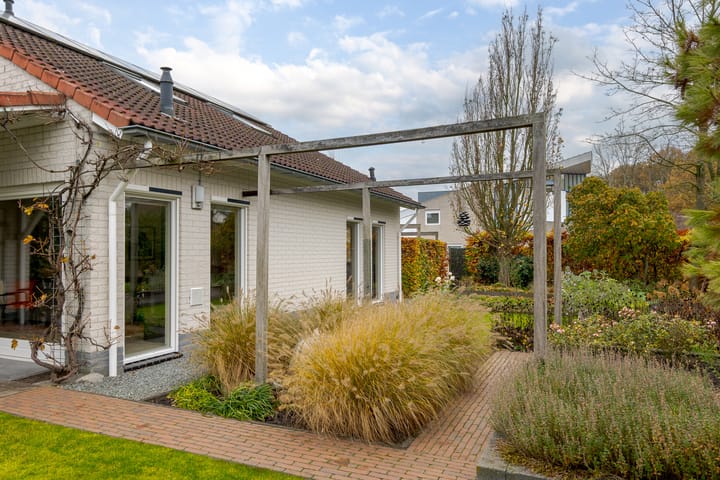 Foto 64 van Rietmaat 4