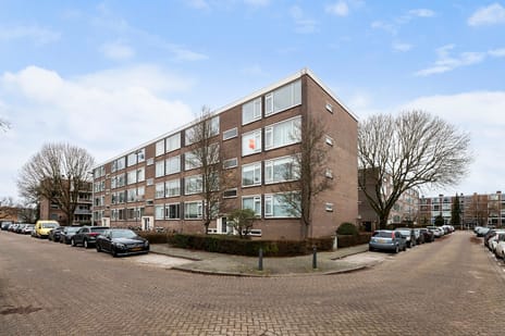 Quadenoord thumbnail