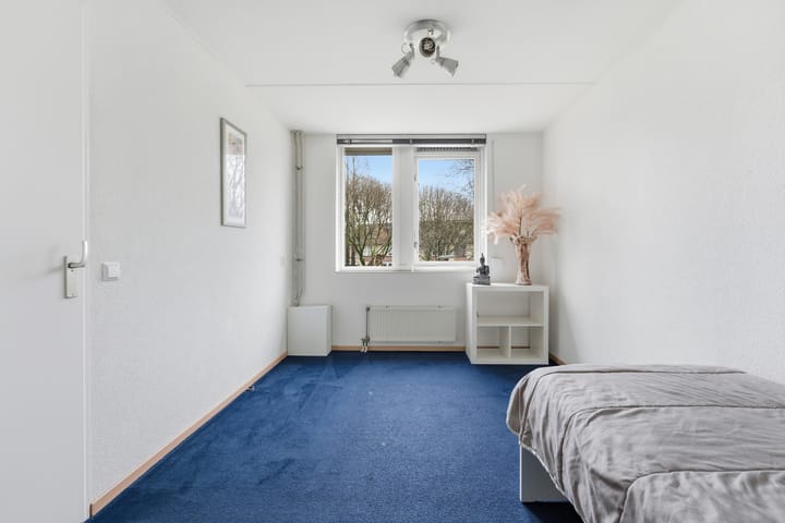 Foto 22 van Pieter van der Leeuwpad 10