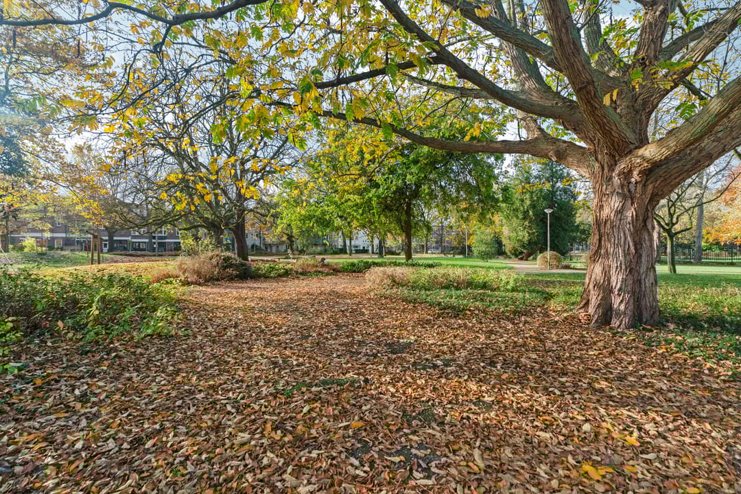 Foto 41 van Prins Bernhardstraat 59