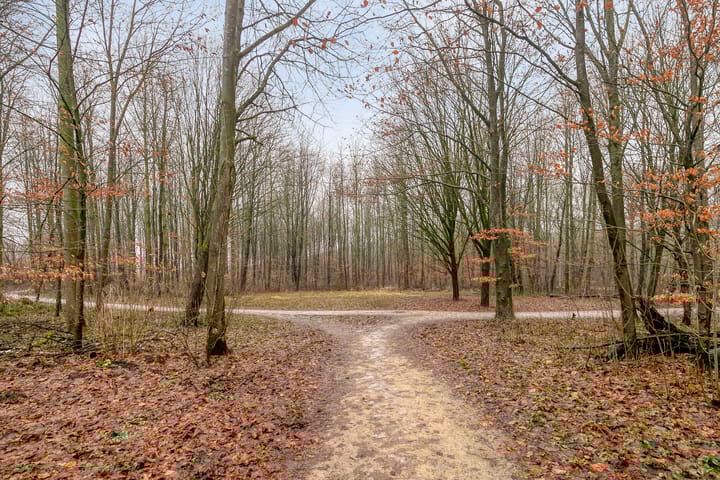 Foto 32 van De Pony 6