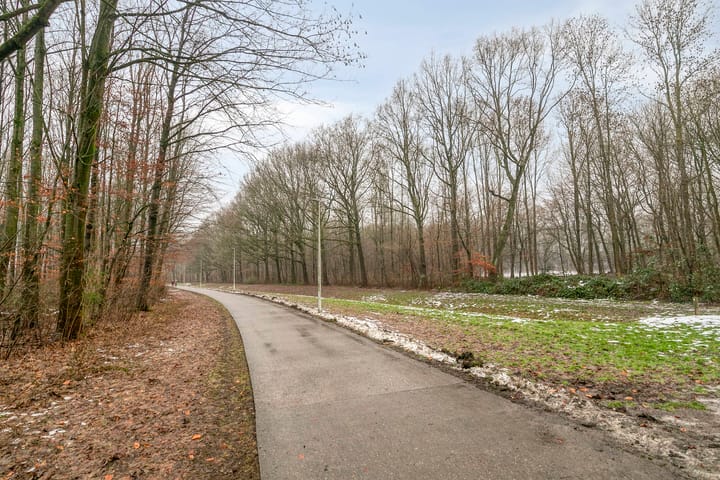 Foto 33 van De Pony 6