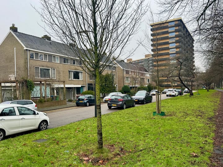 Foto 39 van Abraham Lincolnlaan 11