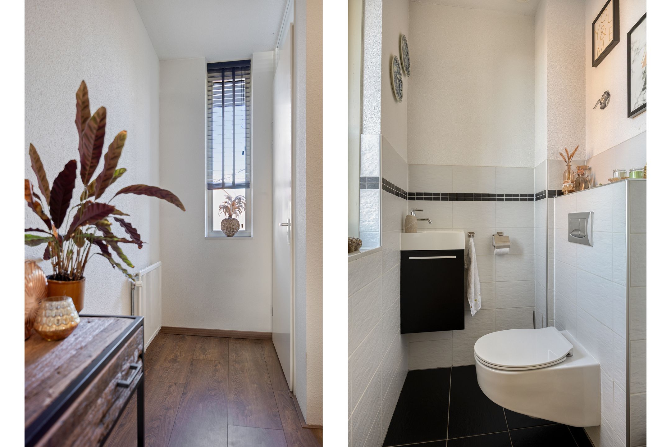 Foto 9 van Waterland 8