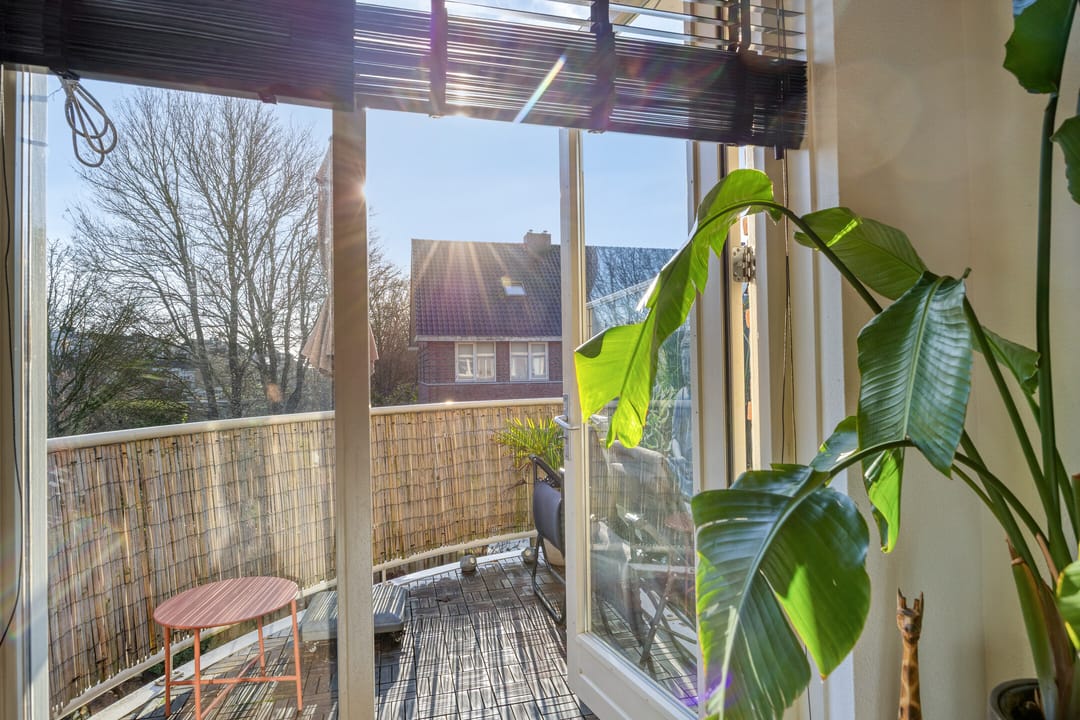 Foto 16 van Waterland 8