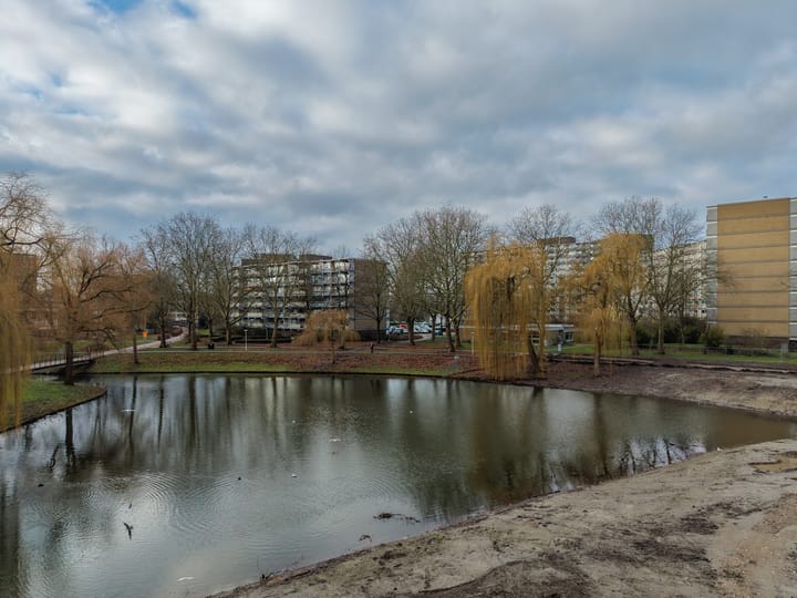 Foto 48 van Kadoelerbos 22