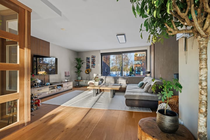 Foto 3 van Vechtoever 5