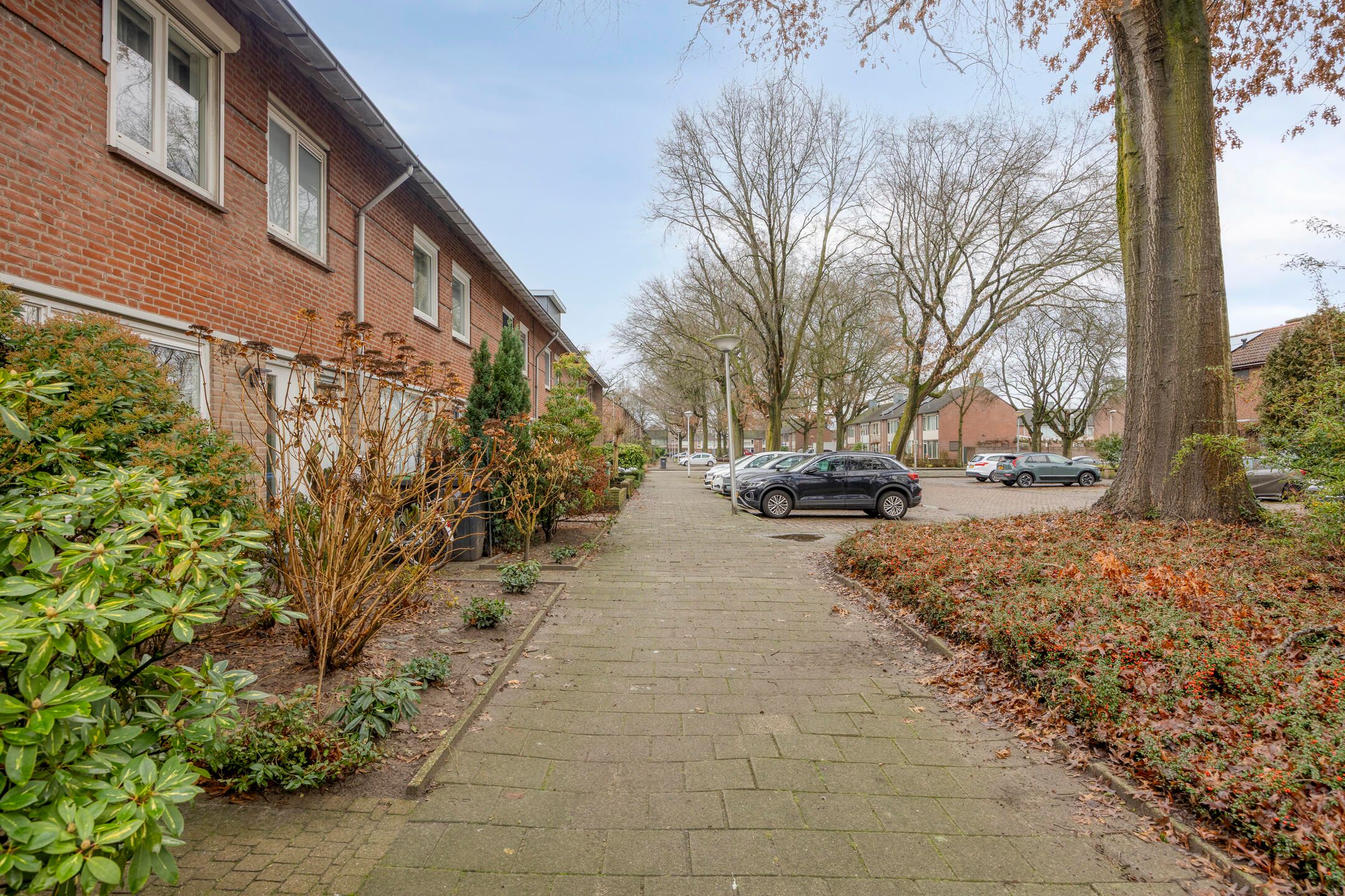 Photo 33 of Kleine Beerpad 55