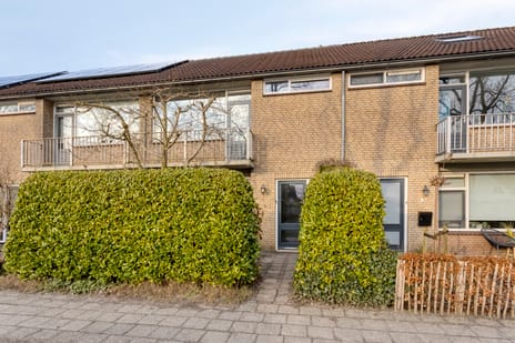 Easter Omwei thumbnail