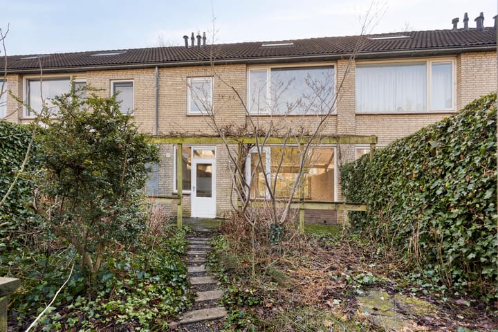 Foto 22 van Easter Omwei 13