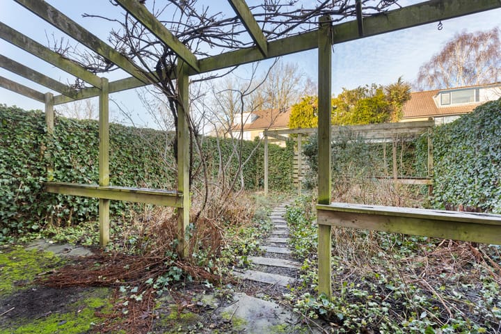 Foto 24 van Easter Omwei 13