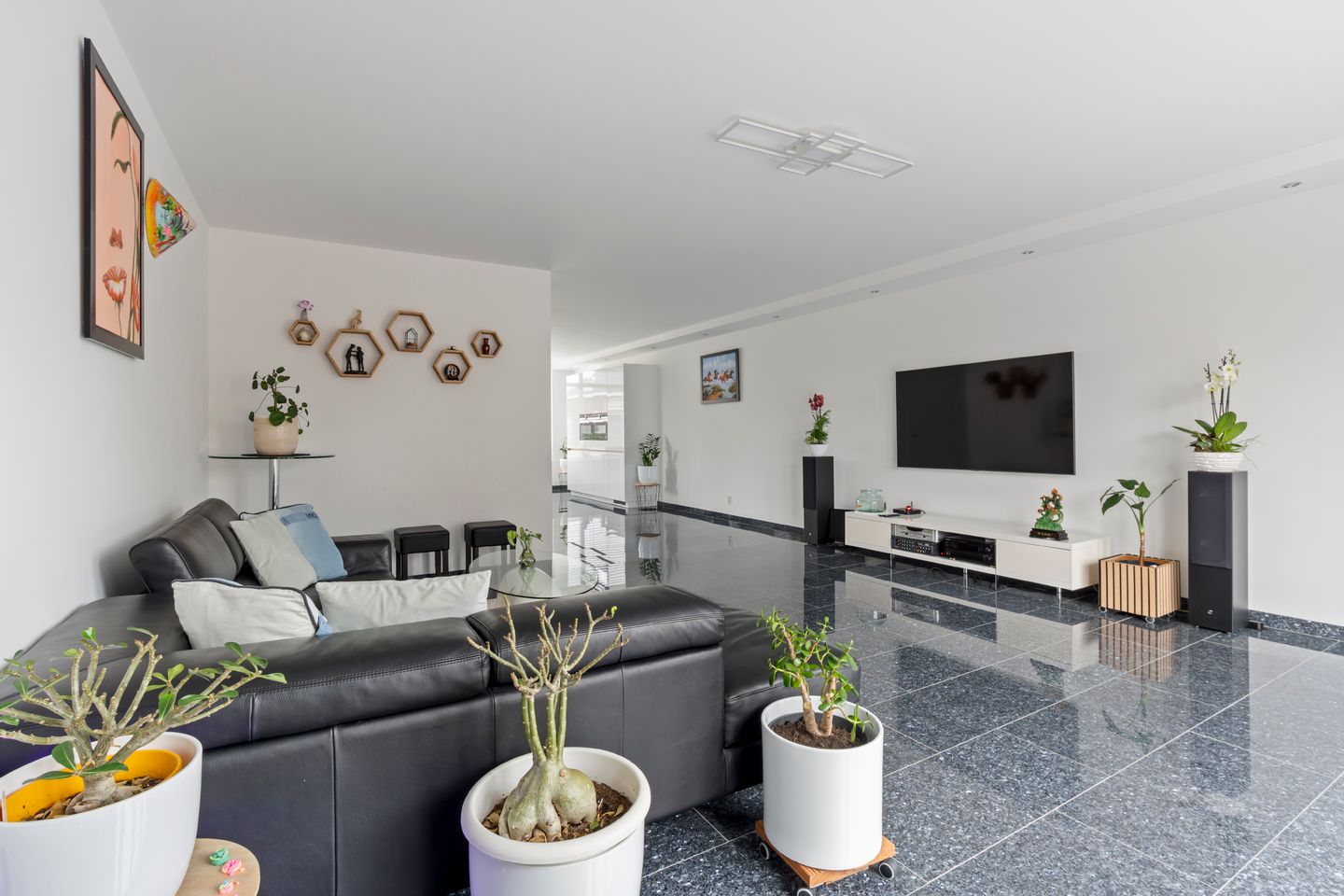 Foto 5 van Steertweide 5