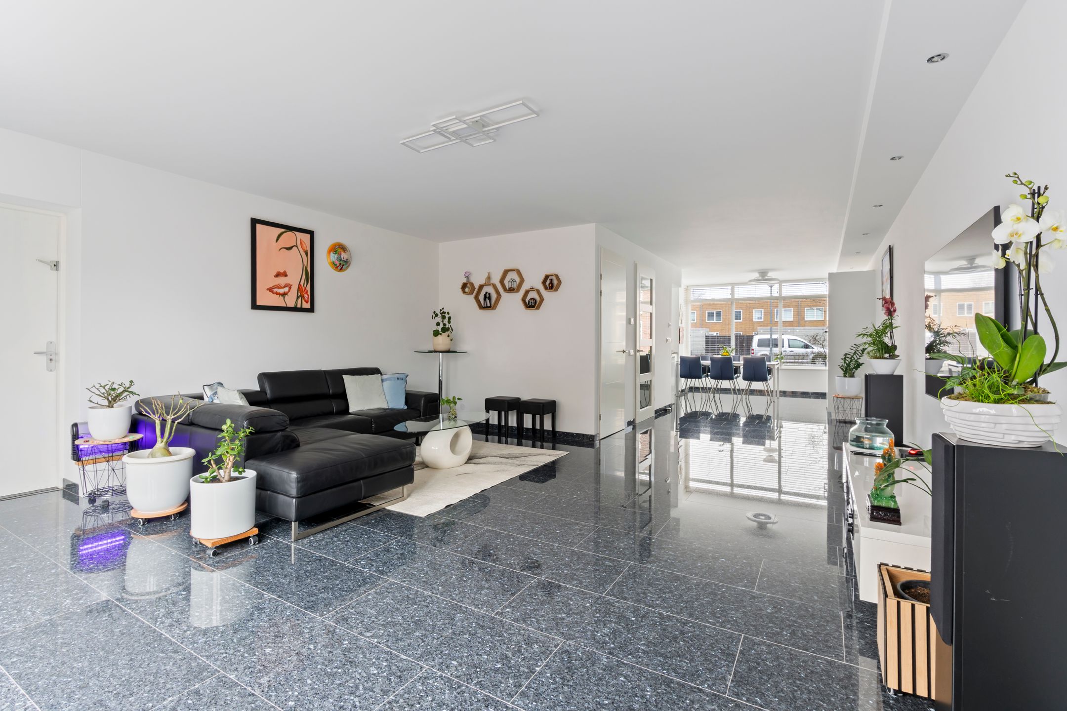 Foto 6 van Steertweide 5