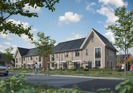 Het Leeuwse Veld | fase 19 main image