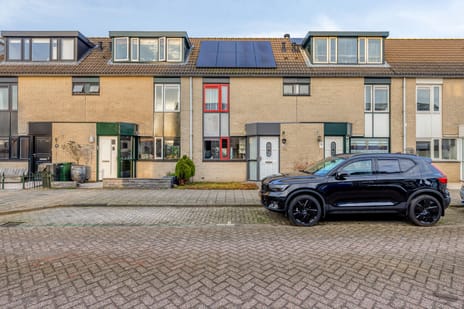 undefined main image