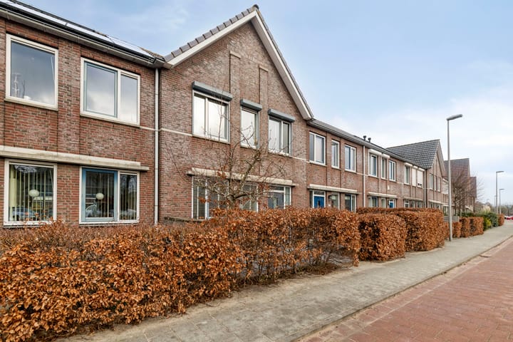 Foto 8 van Zambezilaan 264