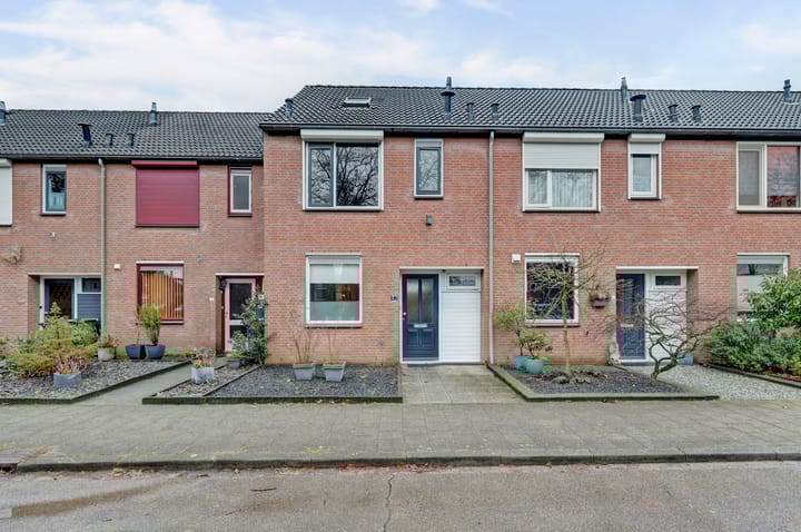 Het Haringvliet 37