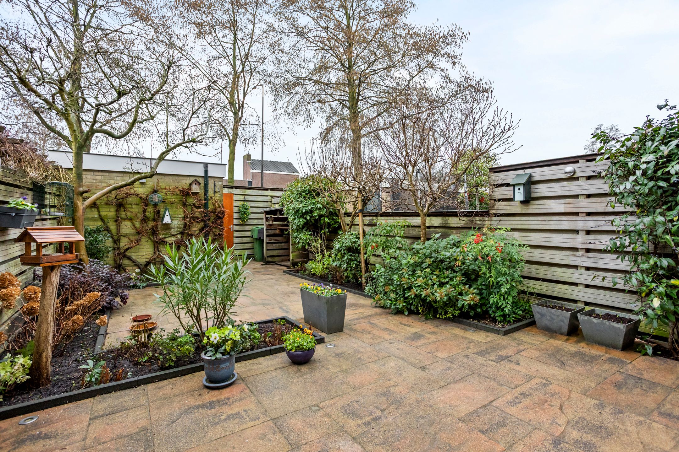 Photo 30 of Cornelis de Houtmanplantsoen 8