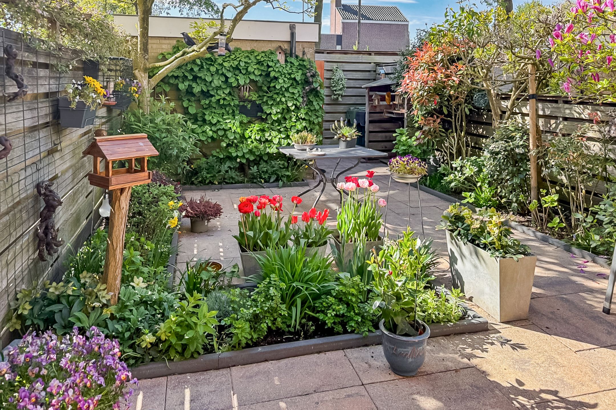 Photo 33 of Cornelis de Houtmanplantsoen 8