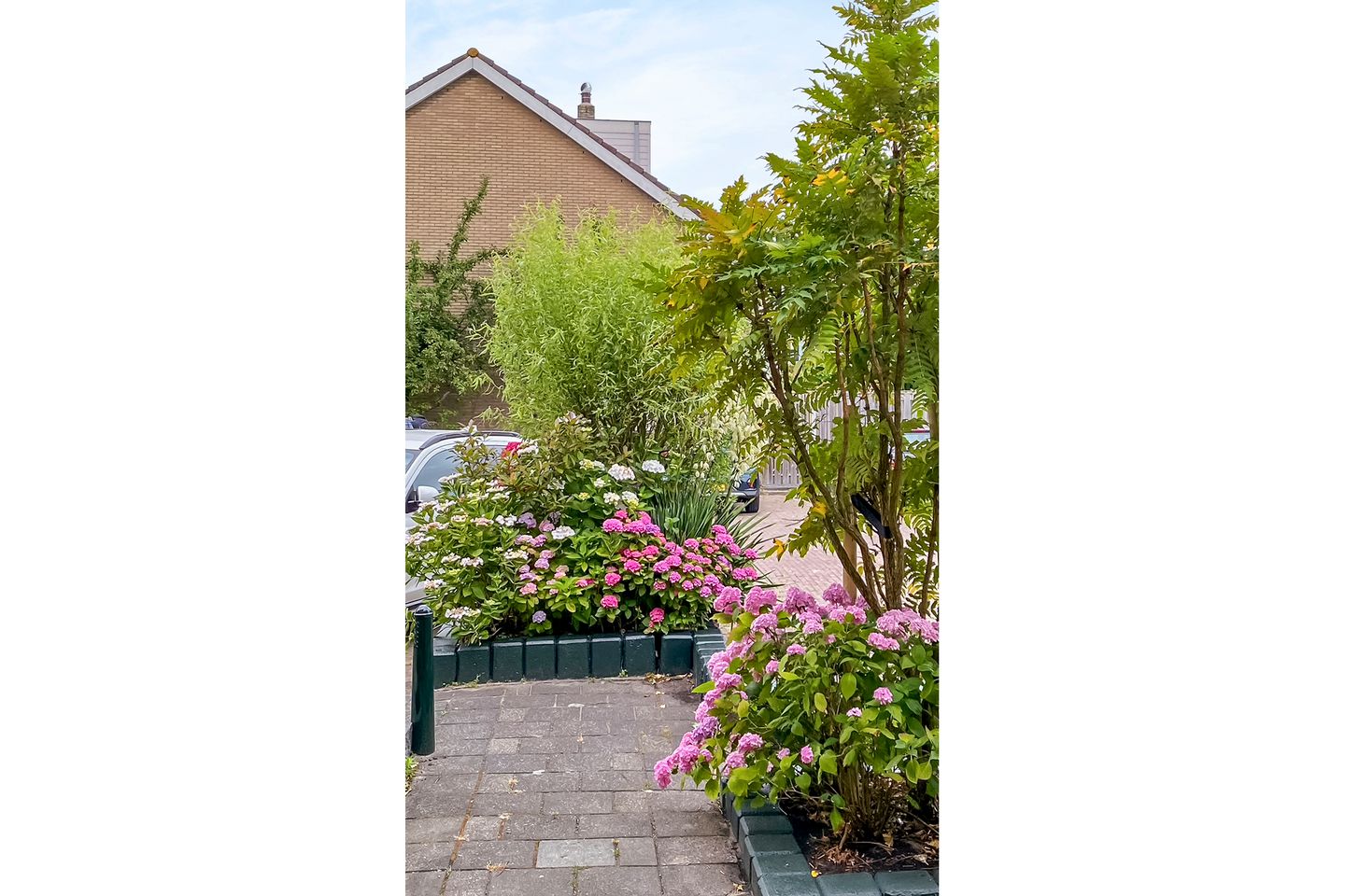 Photo 34 of Cornelis de Houtmanplantsoen 8