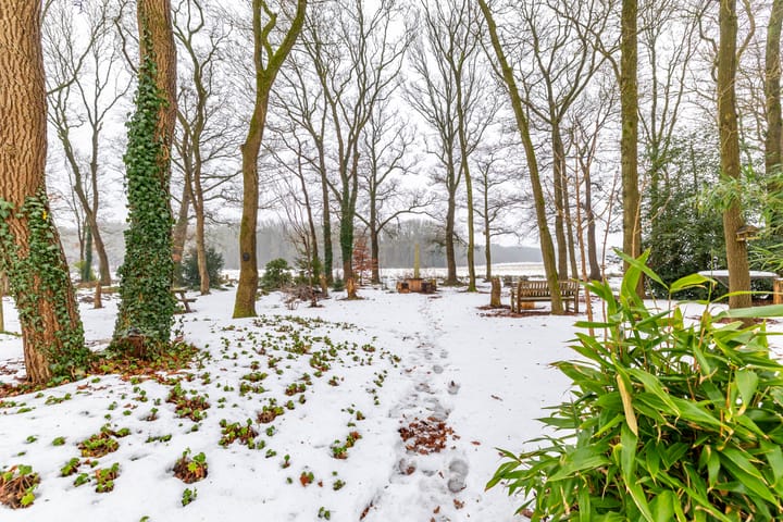 Foto 23 van de Hilde 74