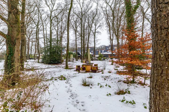 Foto 27 van de Hilde 74