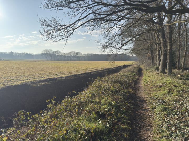 Foto 29 van de Hilde 74