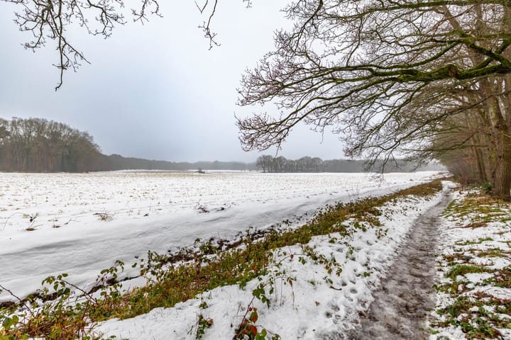 Foto 28 van de Hilde 74