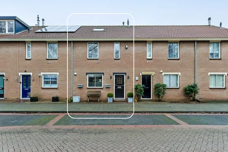 undefined main image