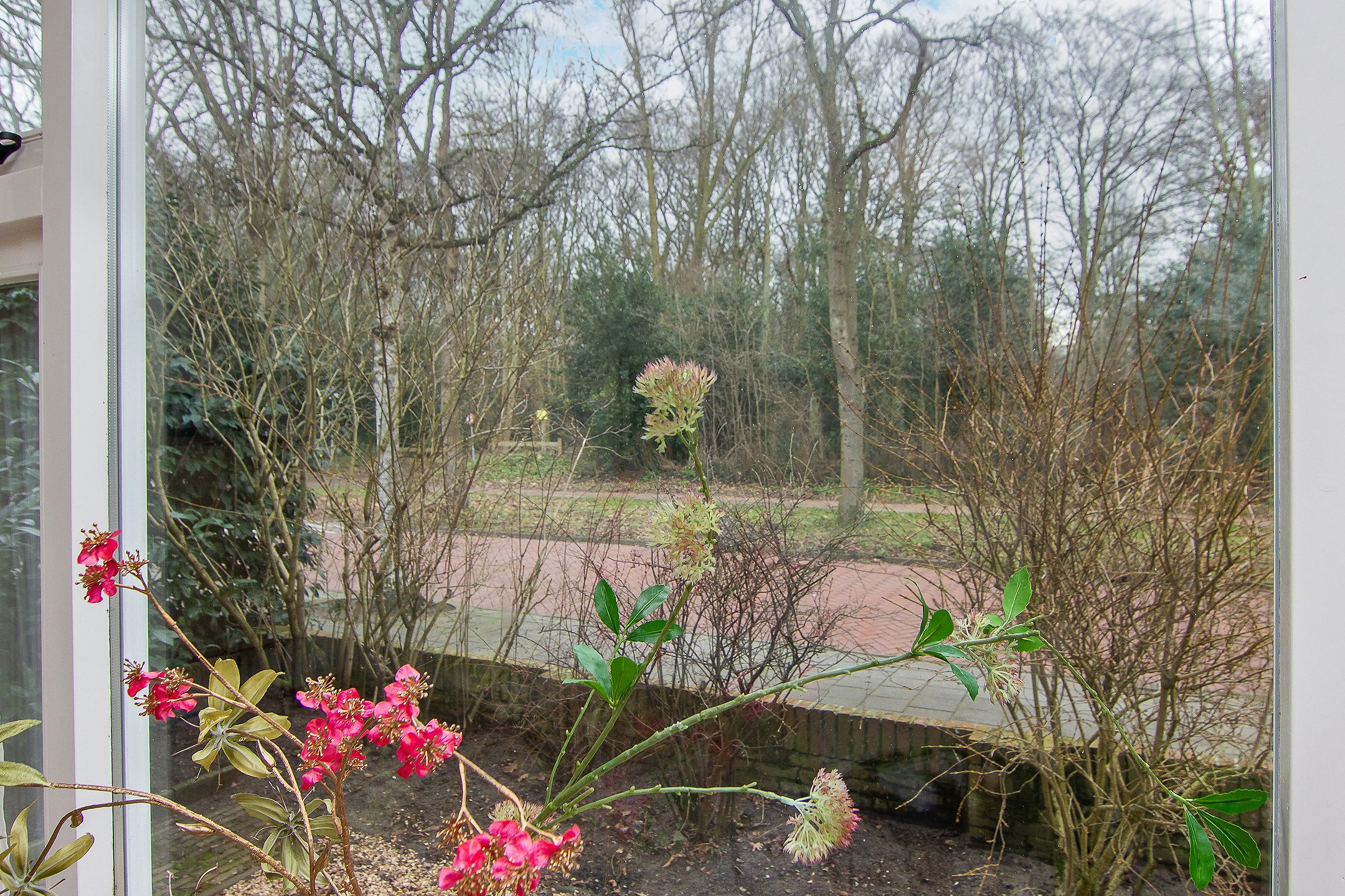 Foto 6 van Van Lenneplaan 26