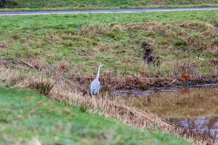 Foto 53 van Prins Mauritshof 10