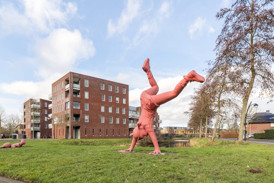 Foto 61 van Meijepolder 48