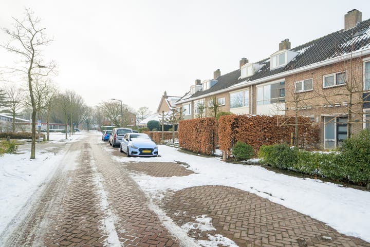 Foto 8 van Grote Spie 70