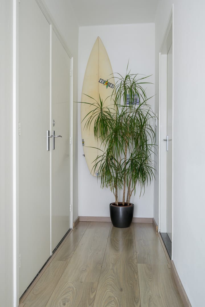 Foto 14 van Grote Spie 70