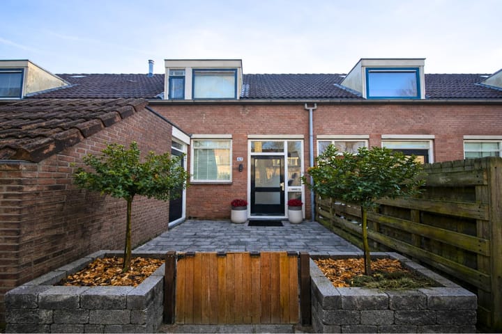 Foto 30 van St. Pietersland 49