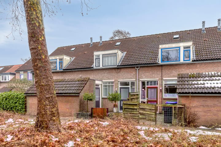 Foto 33 van St. Pietersland 49