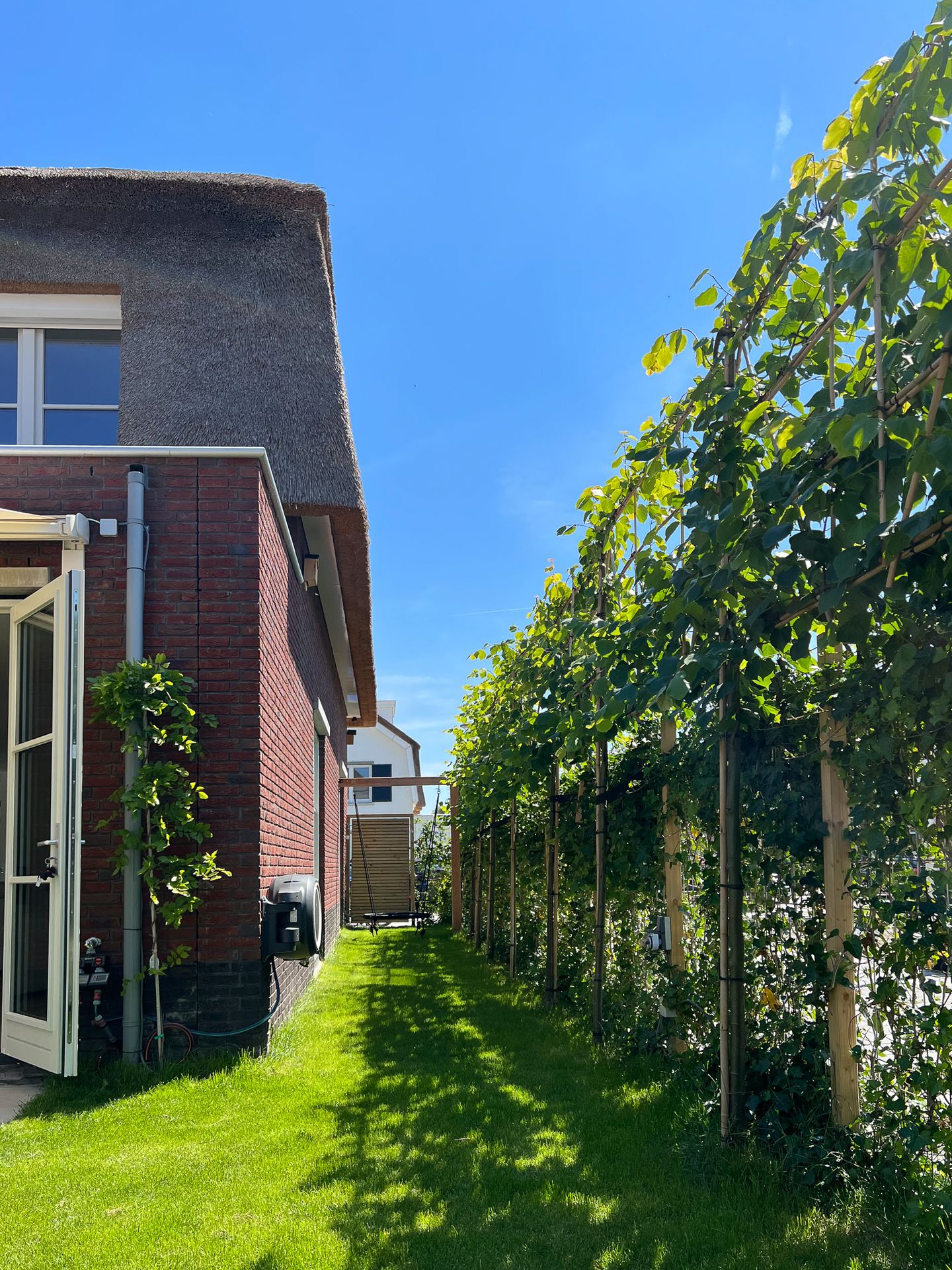 Foto 40 van Anemoonlaan 12