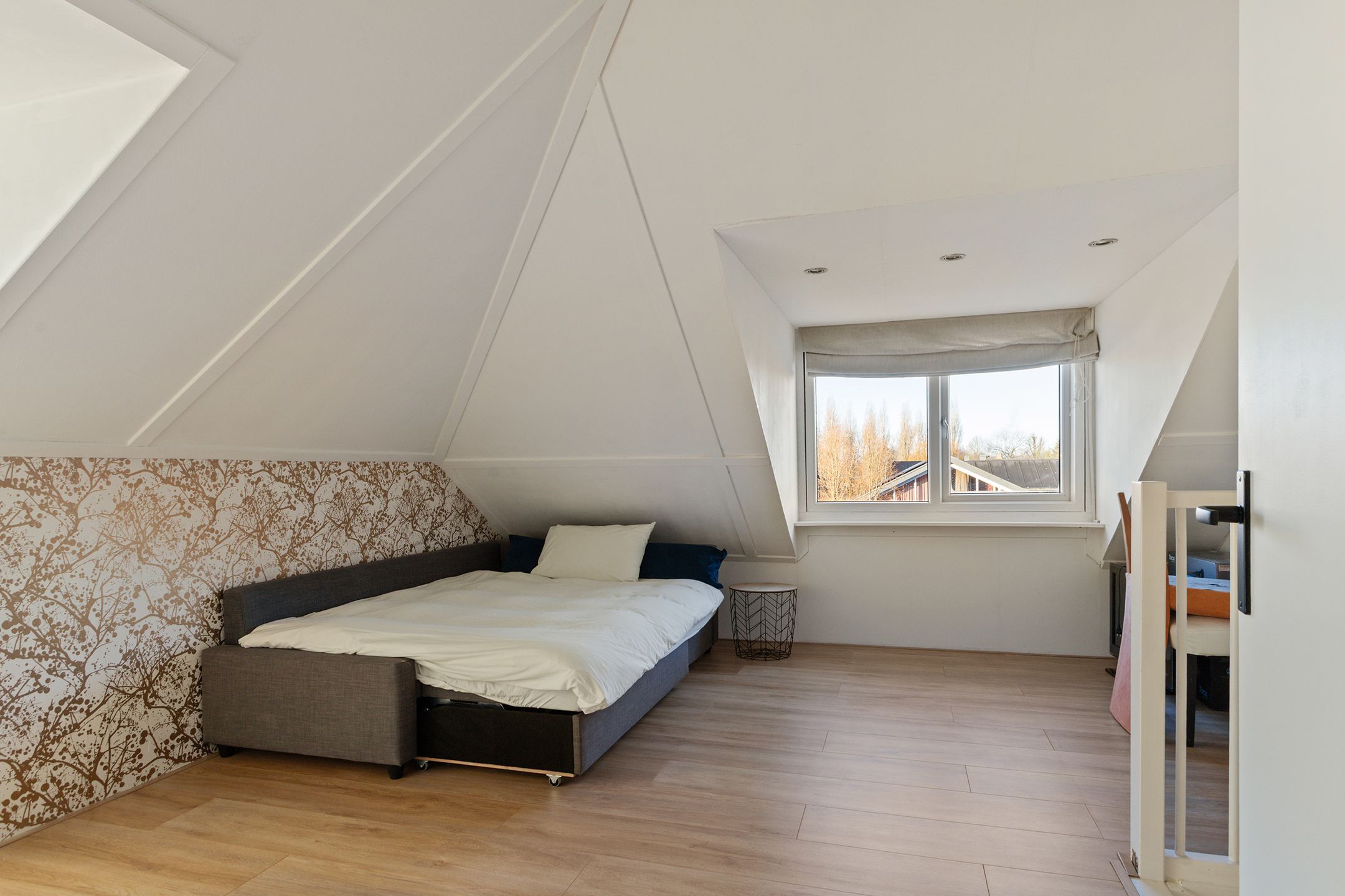 Foto 21 van Mattenbieslaan 11