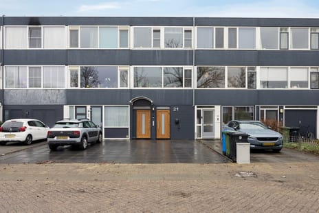 Zilverdistel thumbnail