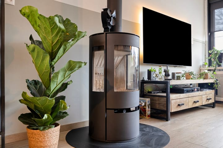 Foto 12 van Zilverdistel 21