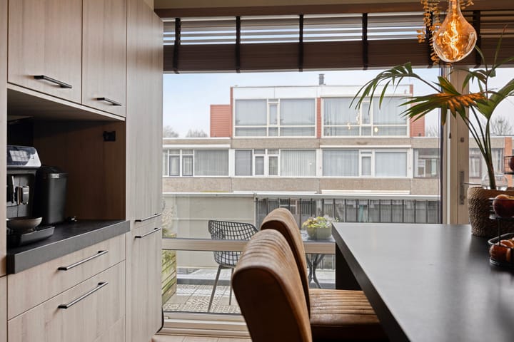 Foto 19 van Zilverdistel 21