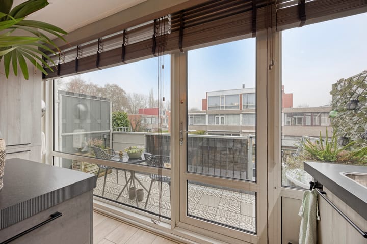 Foto 20 van Zilverdistel 21