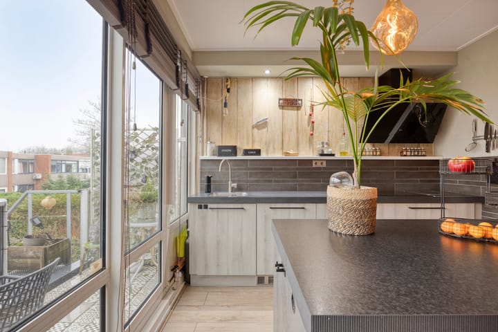 Foto 24 van Zilverdistel 21