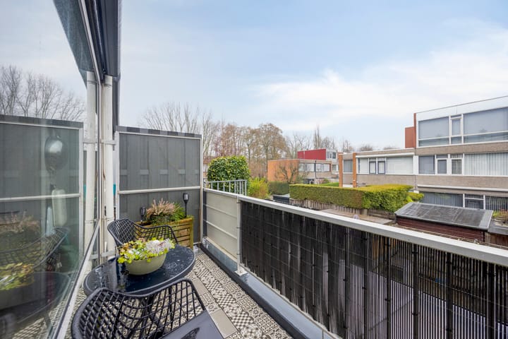 Foto 25 van Zilverdistel 21