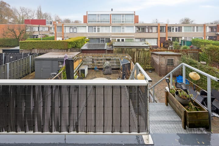 Foto 26 van Zilverdistel 21