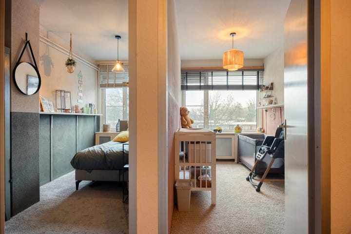 Foto 33 van Zilverdistel 21