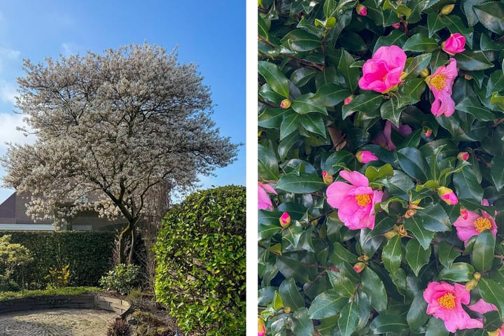 Foto 37 van Tilmaad 34