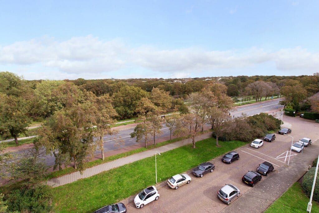 Buying a house in The Netherlands., Van Alkemadelaan 914