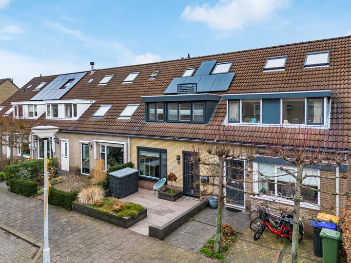 Foto 3 van Vogelkers 8