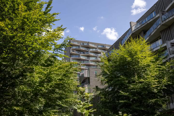 Foto 15 van Kruitberghof 87